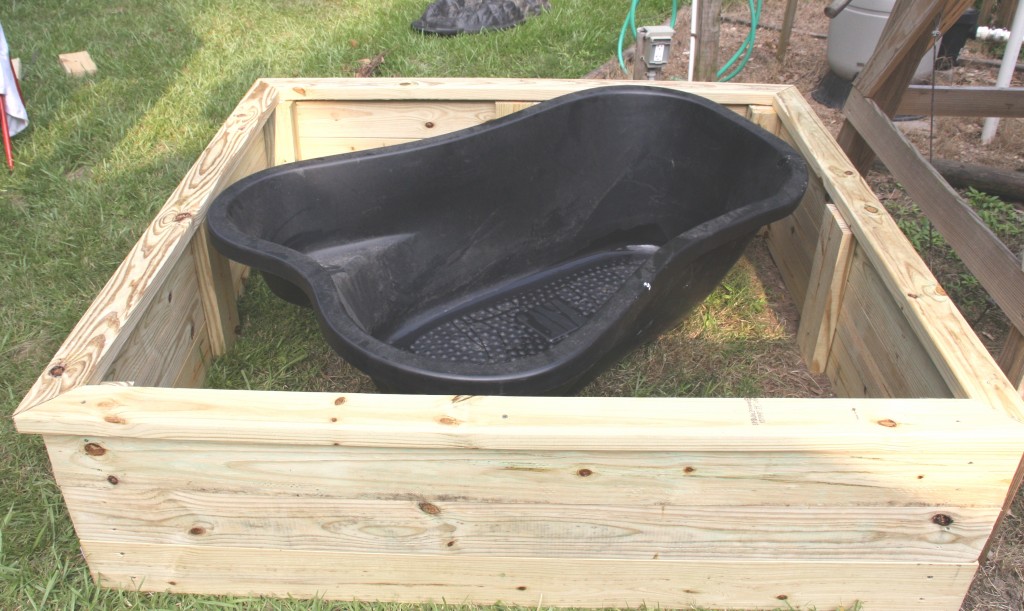pond in box 1