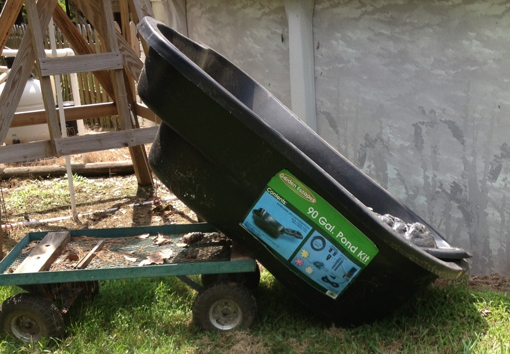 pond on cart 1
