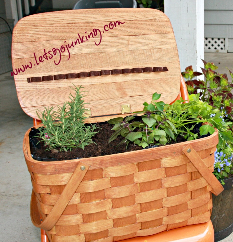 planted basket pic wm